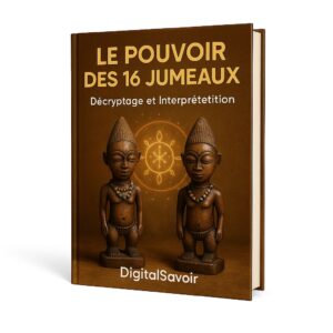 Le Pouvoir des 16 Jumeaux : Décryptage et Interprétation